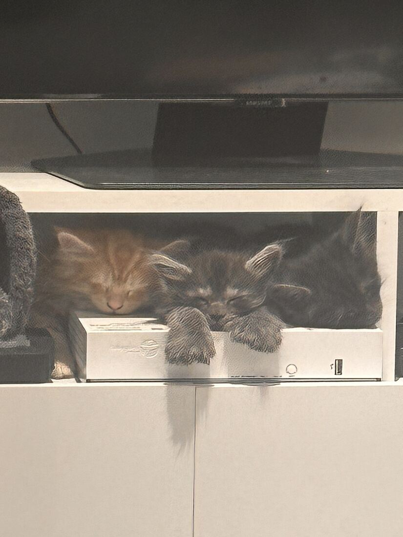 La sieste sous la télé