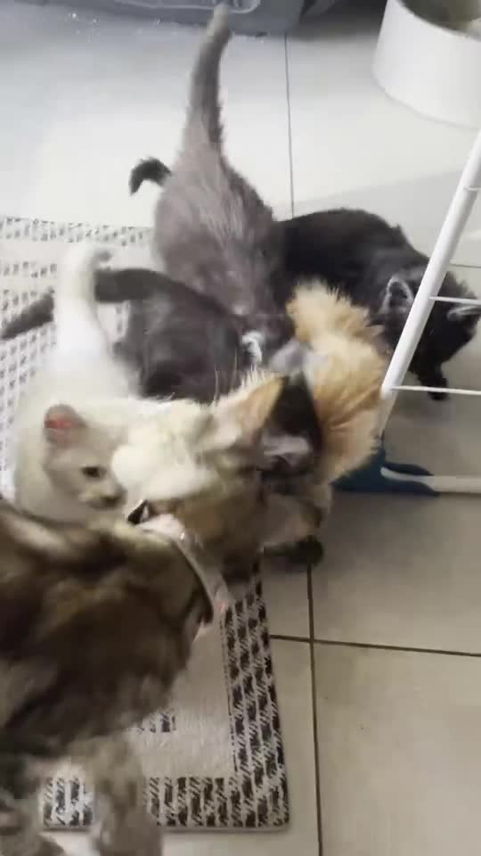 Vidéo : on joue avec maman