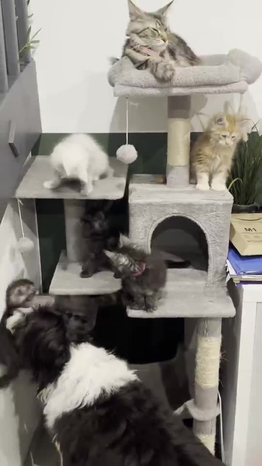 Vidéo : la pause photo de famille