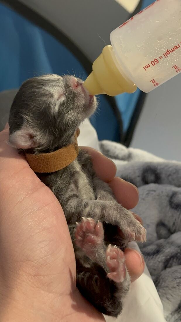 Le jour de la naissance : un petit coup de pouce au biberon