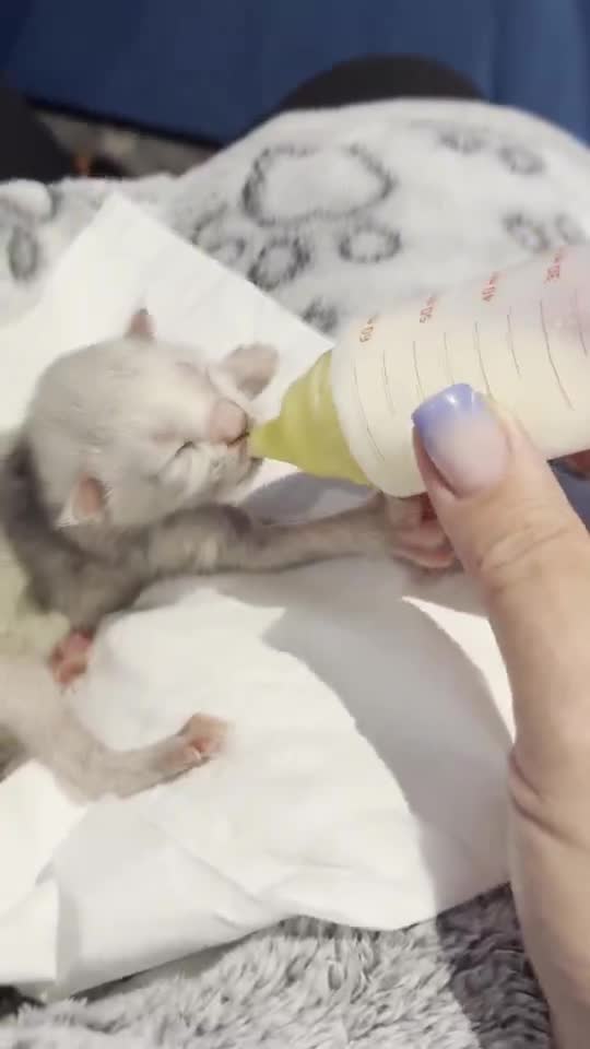 Vidéo : le biberon du premier jour